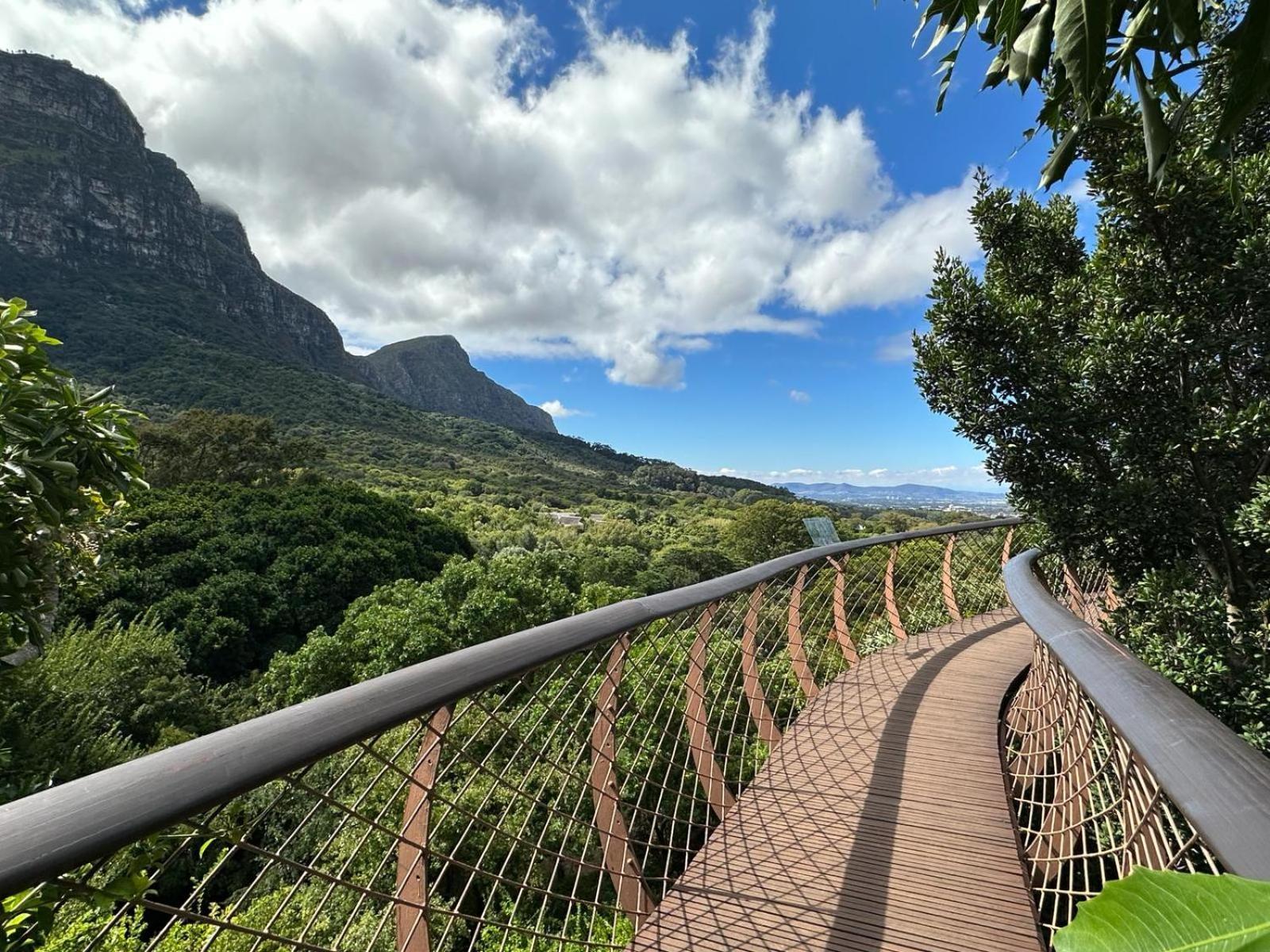 Acorn House Bed & Breakfast Cape Town Exterior photo