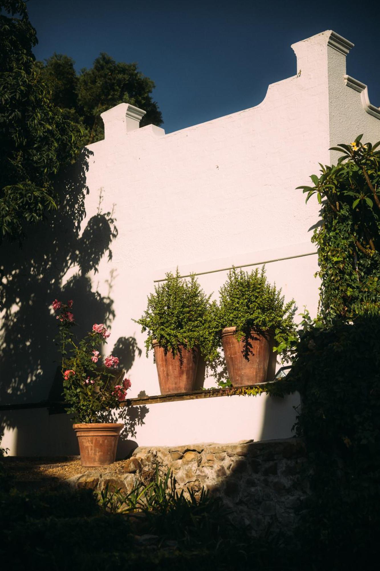 Acorn House Bed & Breakfast Cape Town Exterior photo
