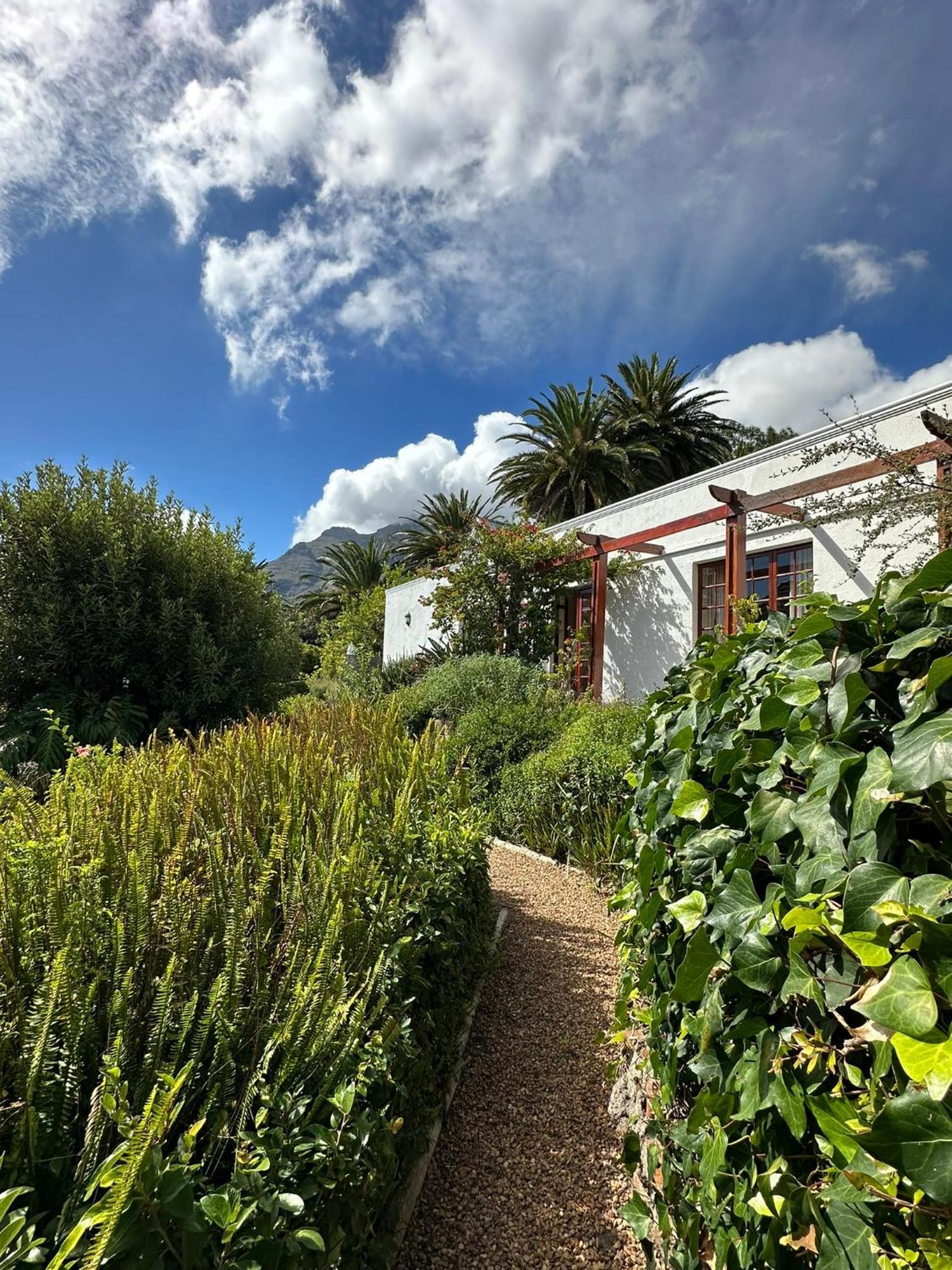 Acorn House Bed & Breakfast Cape Town Exterior photo